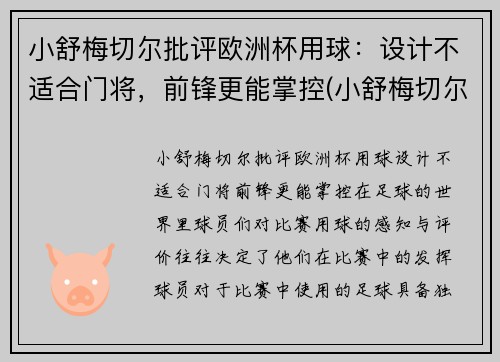 小舒梅切尔批评欧洲杯用球：设计不适合门将，前锋更能掌控(小舒梅切尔英冠进球)