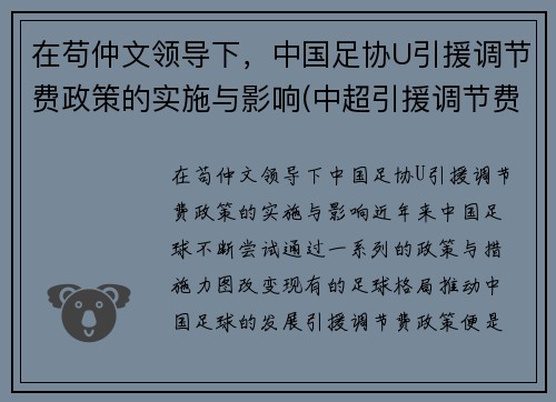 在苟仲文领导下，中国足协U引援调节费政策的实施与影响(中超引援调节费怎么算)